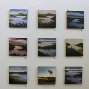Nine small paintings at Judy Rauert's 'Tower Hill Inspired' exhibition at the Outlaw Gallery